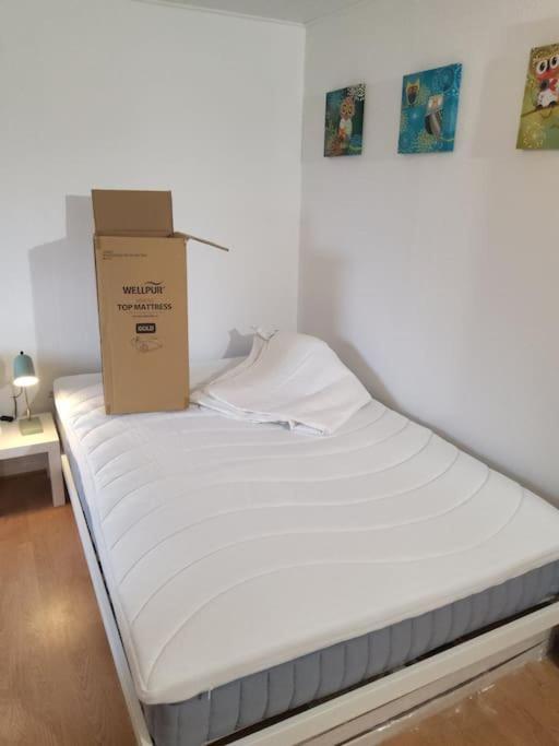 Family Friendly Apt B, 900M To Lego House, Parking, Legoland, Lalandia Billund Exterior photo